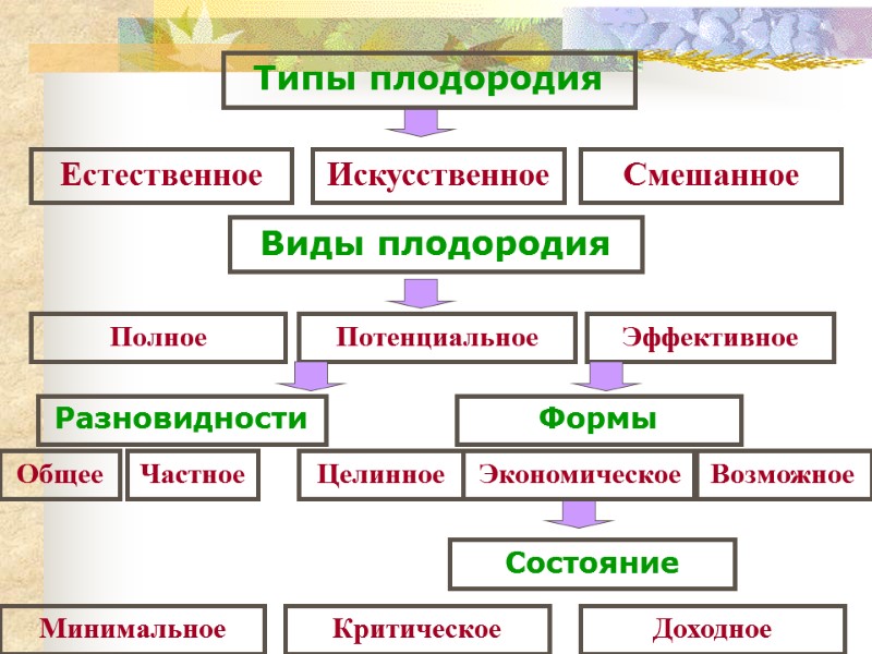Минимальное Естественное Эффективное Полное Потенциальное Общее  Частное Искусственное Смешанное Виды плодородия Типы плодородия